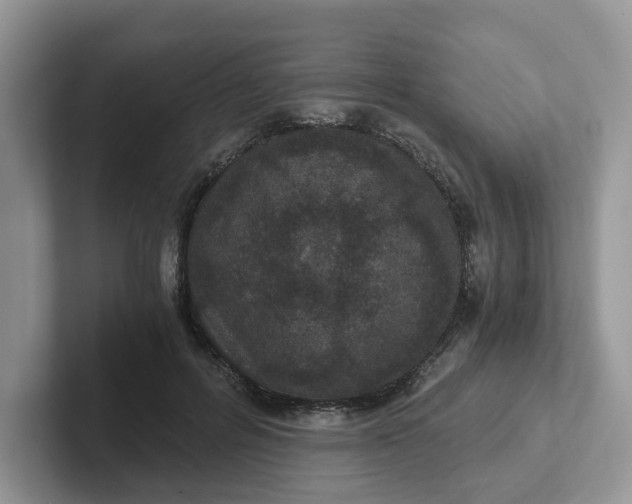 X0000101440600200807211214