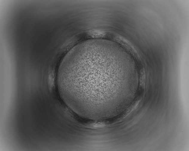 X0000101440604200807211214