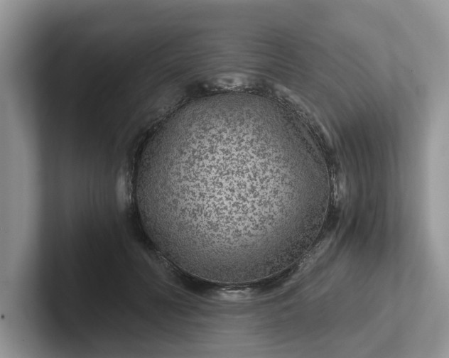 X0000101440606200807211214