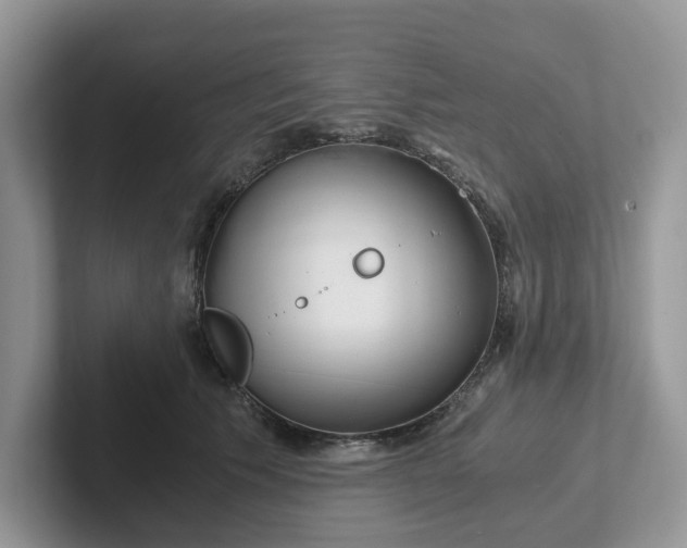 X0000101440609200807211214