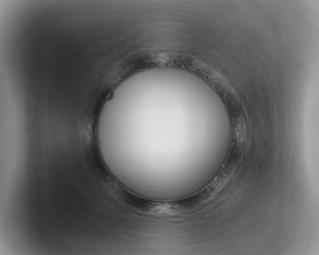 X0000101440611200807211214