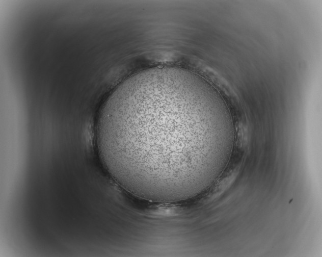 X0000101440612200807211213