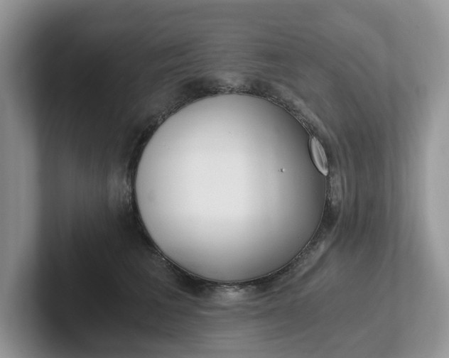 X0000101440613200807211213