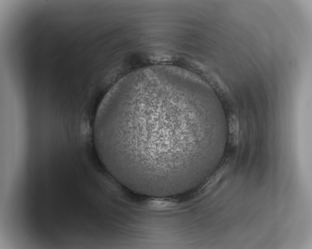 X0000101440614200807211213