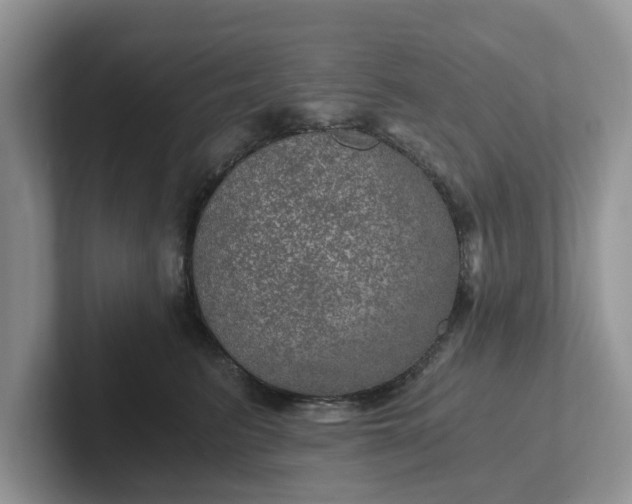 X0000101440615200807211213