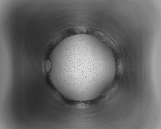 X0000101440616200807211213