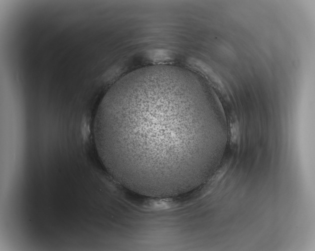 X0000101440618200807211213