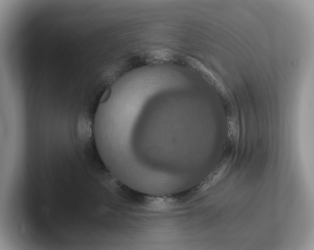 X0000101440621200807211213