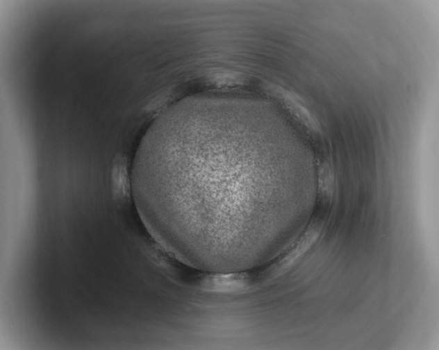 X0000101440622200807211213