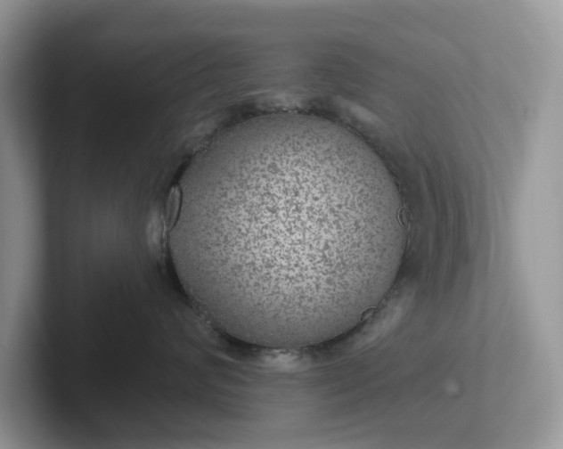 X0000101440624200807211213