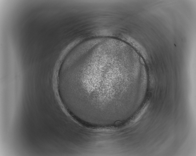 X0000101440625200807211213