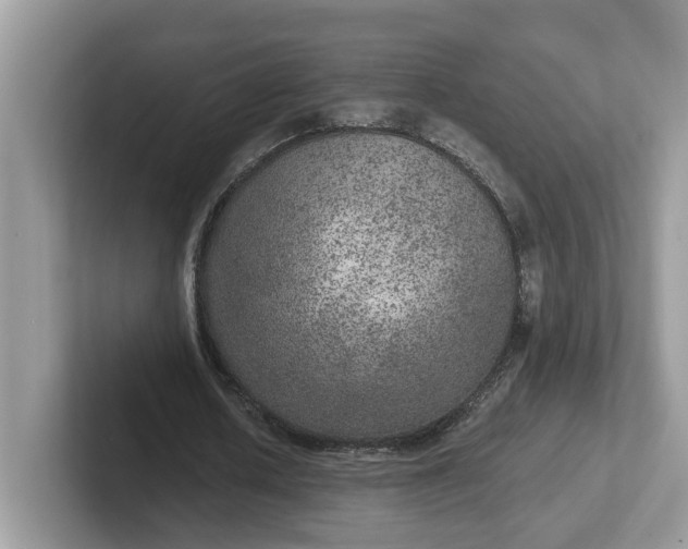 X0000101440626200807211213