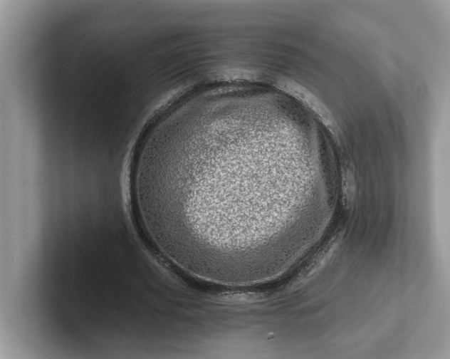 X0000101440629200807211213