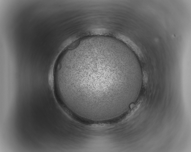 X0000101440630200807211213