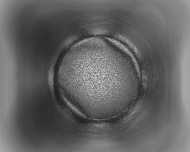 X0000101440631200807211213