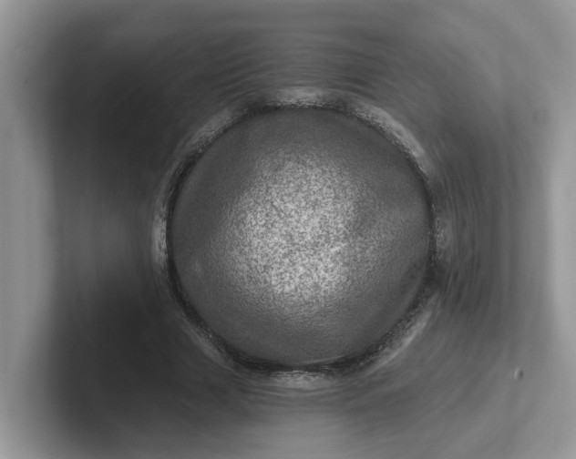 X0000101440633200807211213