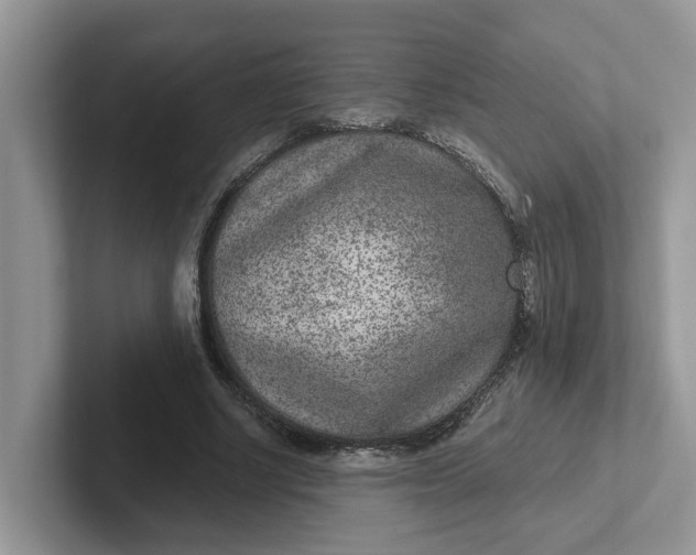 X0000101440634200807211213