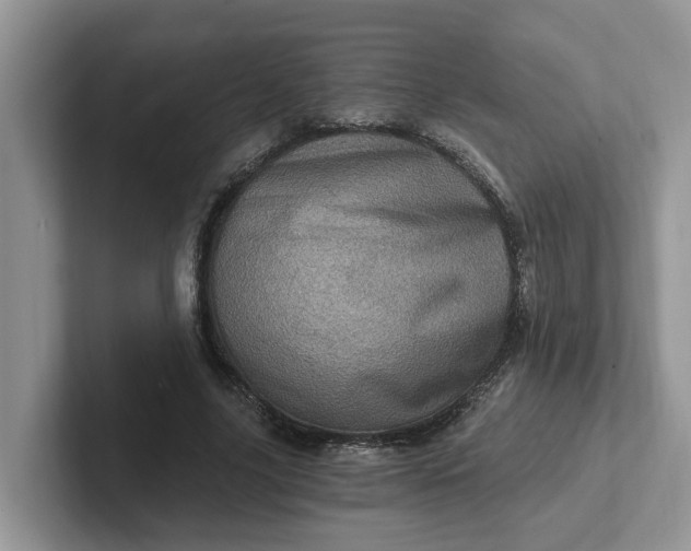 X0000101440635200807211213