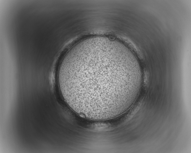 X0000101440636200807211213