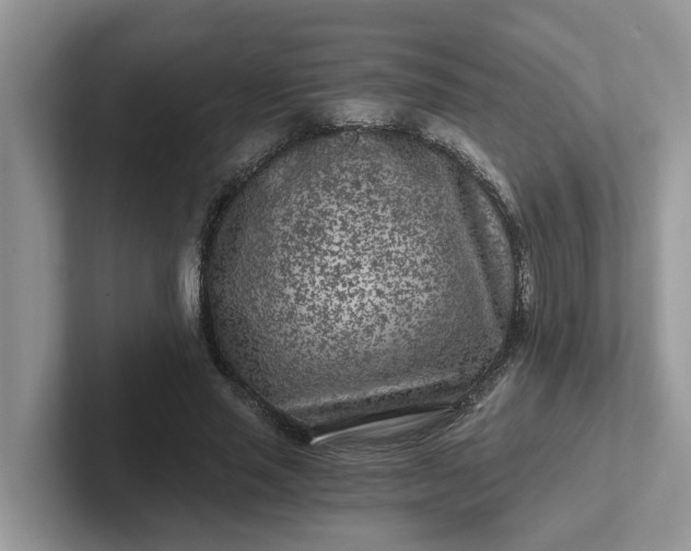 X0000101440637200807211213