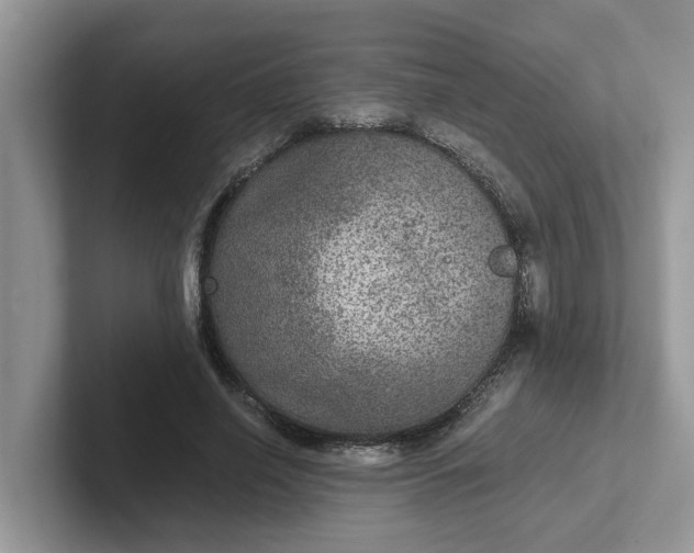 X0000101440638200807211213