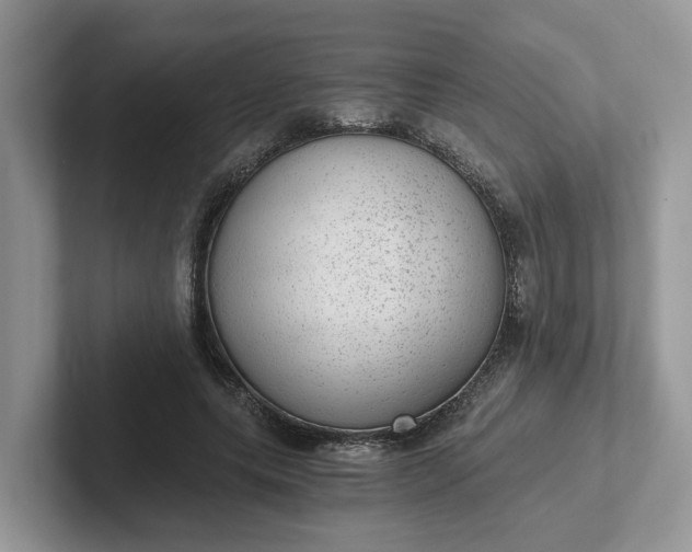 X0000101440639200807211213