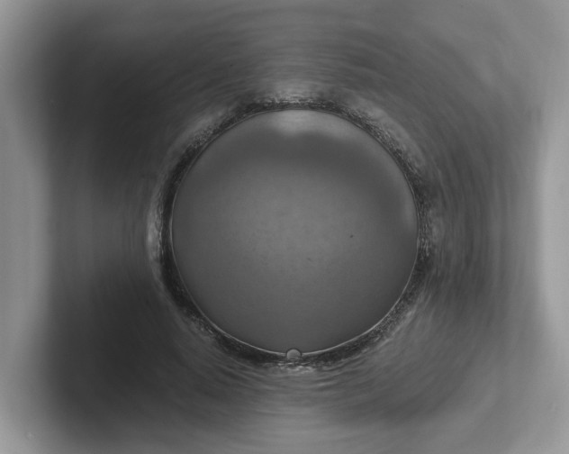 X0000101440640200807211213