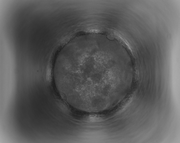 X0000101440641200807211213