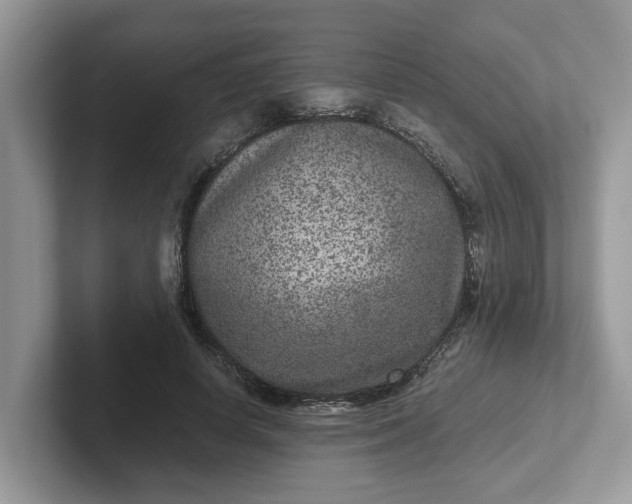 X0000101440642200807211213