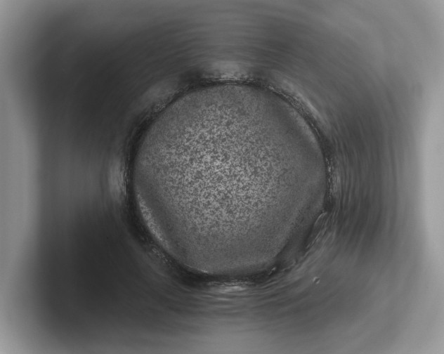 X0000101440643200807211213