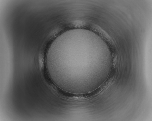 X0000101440644200807211213