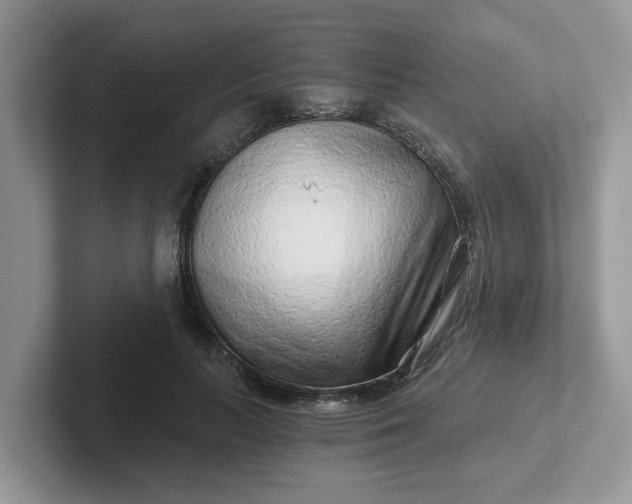 X0000101440647200807211213