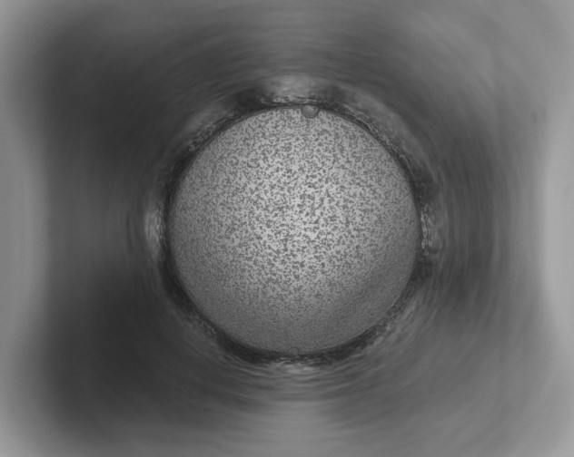 X0000101440648200807211213