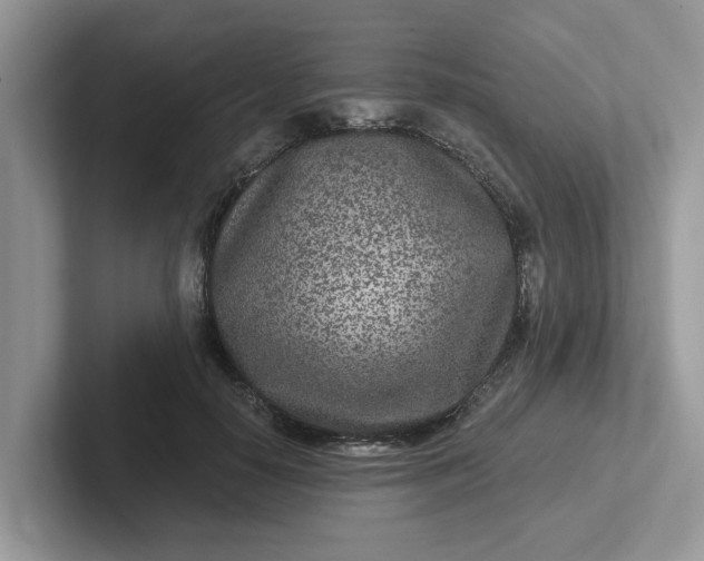 X0000101440650200807211213