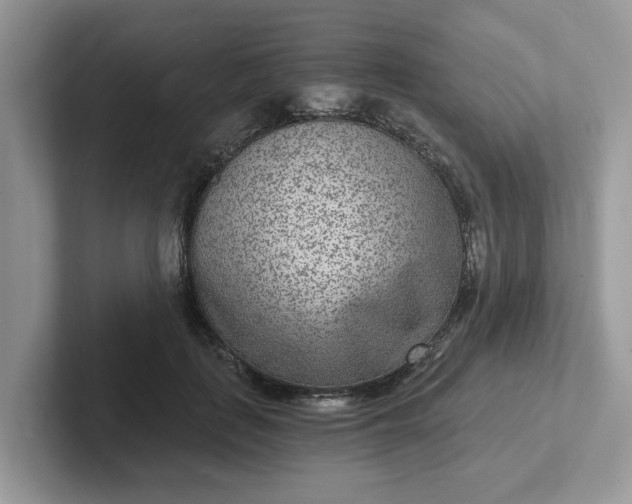 X0000101440651200807211213