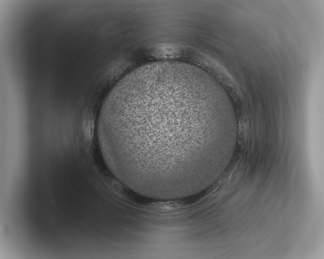 X0000101440652200807211213