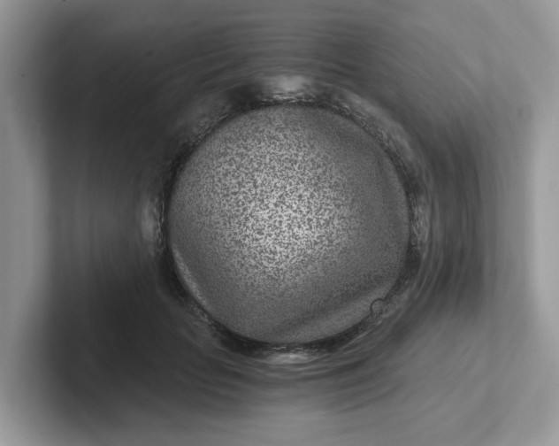 X0000101440653200807211213