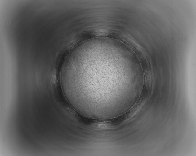 X0000101440655200807211213