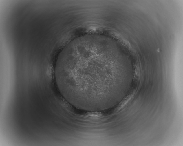 X0000101440659200807211213