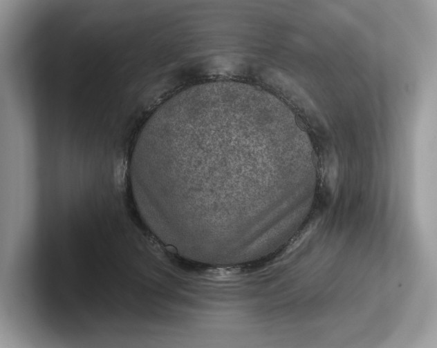 X0000101440660200807211213