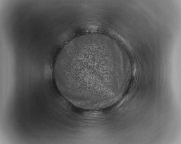 X0000101440661200807211213