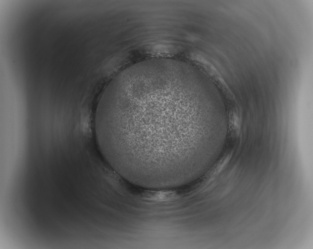 X0000101440663200807211213