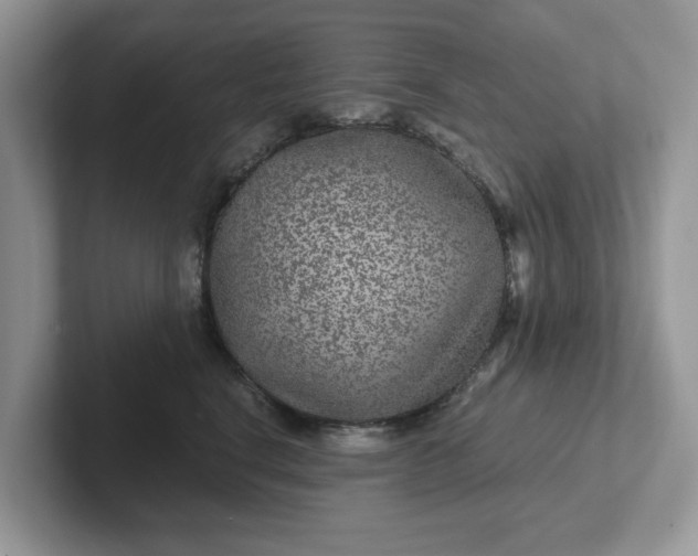 X0000101440664200807211213