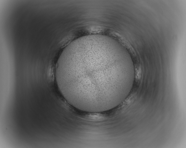 X0000101440666200807211213