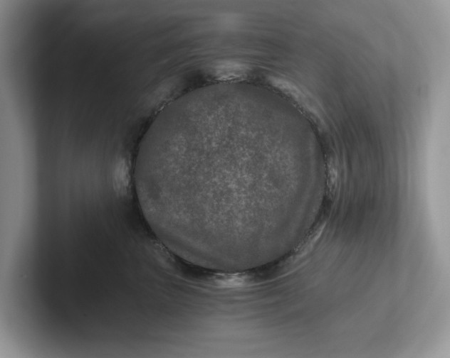 X0000101440667200807211213