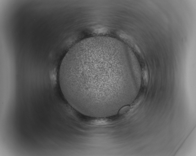 X0000101440668200807211213