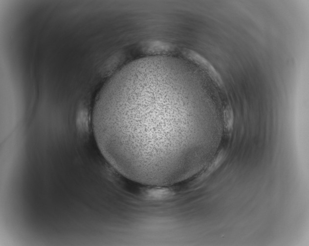 X0000101440669200807211213