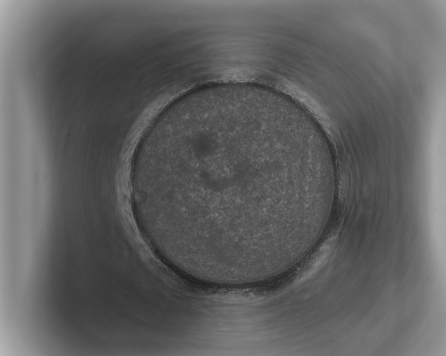 X0000101440673200807211213