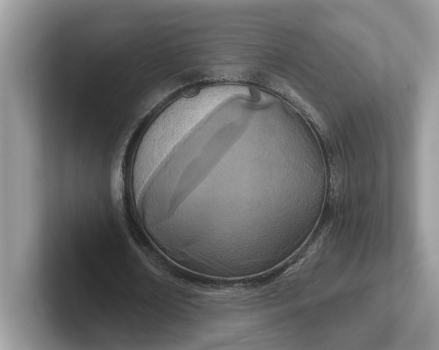 X0000101440674200807211213