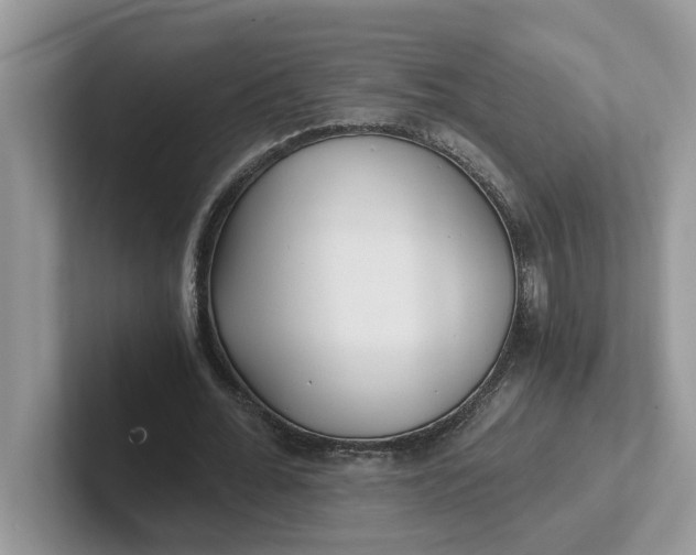 X0000101440676200807211213